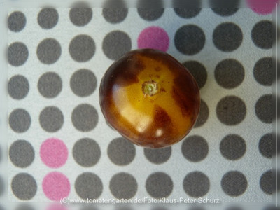 2012Antho_violett_Fruit2.jpg