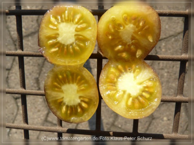 2012Antho_weiss_Fruit_Sliced3.jpg