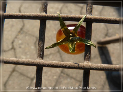 2012Antho_weiss_Fruit10.jpg