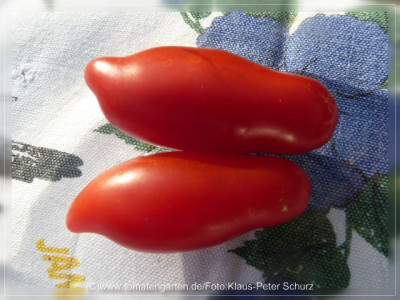2012_Jange_duenne_Bauerntomate_Fruit1.jpg