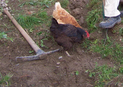100_2093.jpg