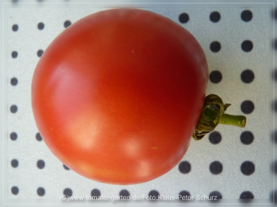 2012_Jordanische_Fleischtomate_Fruit3.jpg