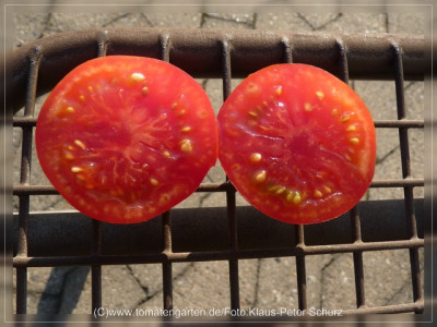 2012_Jordanische_Fleischtomate_Fruit_Sliced.jpg