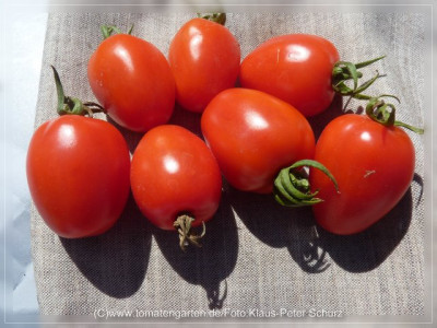 2012_Lecase_di_Apulia_Fruit2.jpg
