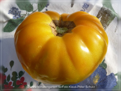 2012_Marizol_Gold_Fruit2.jpg