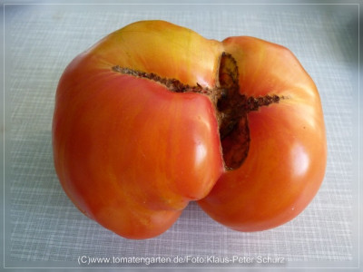 2012_Marvel_Striped_Fruit2.jpg