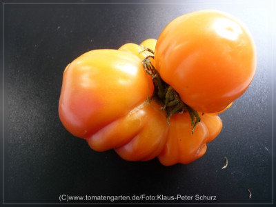 2012_Reginas_Yellow_Fruit1.jpg