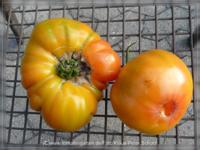 2012_Reginas_Yellow_Fruit4.jpg