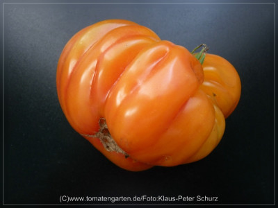 2012_Reginas_Yellow_Fruit6.jpg