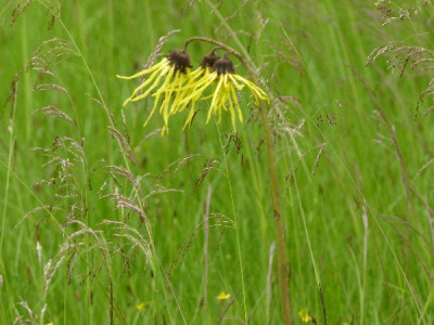 P1030118_600x600_80KB.jpg