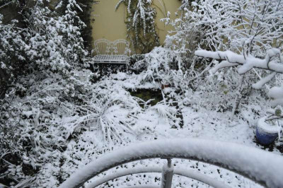 2012-10_Wintereinbruch.jpg