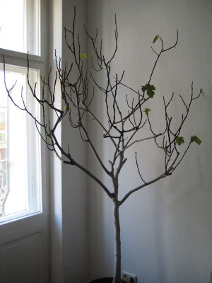feigenbaum.jpg