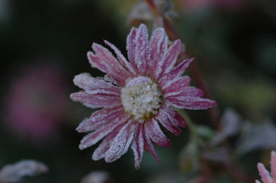 DSC_0046_Kopie.JPG