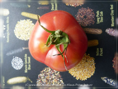 2012_Mary_Ann_Fruit1.jpg