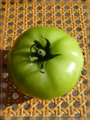 2012_Matias_Fruit_Green2.jpg