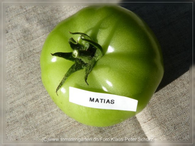 2012_Matias_Fruit_Green1.jpg