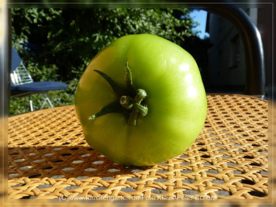 2012_Matias_Fruit_Green3.jpg
