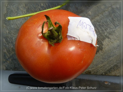2012_Matias_Fruit1.jpg