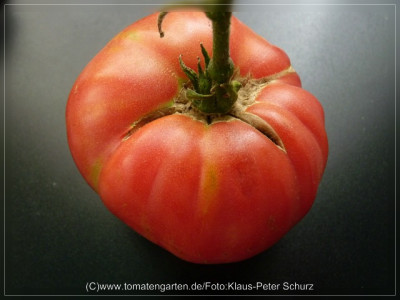 2012_Morao_Fruit3.jpg
