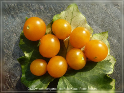 2012_Muoging_Tao_Fruits1.jpg