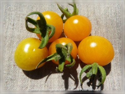 2012_Muoging_Tao_Fruits2.jpg