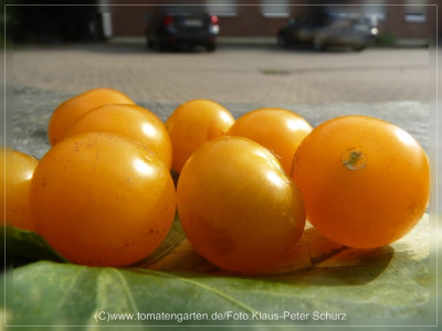 2012_Muoging_Tao_Fruits3.jpg