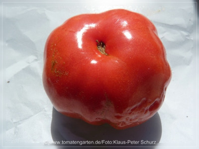 2012_Nectarine_Fruit2.jpg