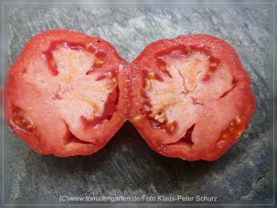 2012_Nectarine_Fruit_Sliced.jpg