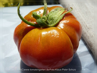 2012_Nectarine_Fruit7.jpg