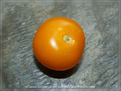 2012_Orangino_Fruit1.jpg