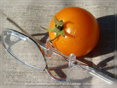 2012_Orangino_Fruit6.jpg