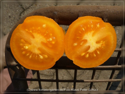2012_Orangino_Fruit_Sliced.jpg