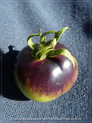 2012_OSU_Blue_Fruit3.jpg