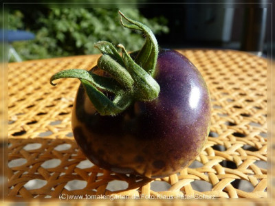 2012_OSU_Blue_Fruit4.jpg
