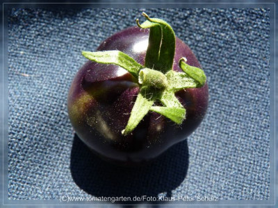 2012_OSU_Blue_Fruit5.jpg
