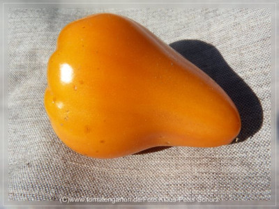 2012Dawsons_Russian_Heart_Fruit2.jpg