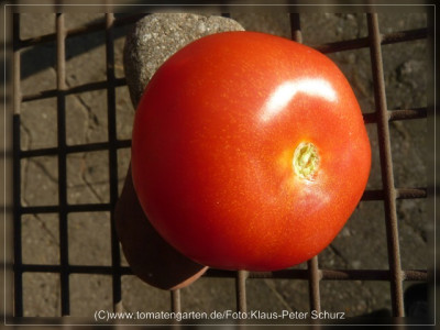 2012_Philona_Fruit1.jpg
