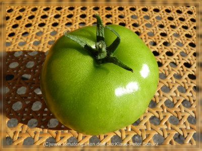 2012_Philona_Fruit_Green2.jpg