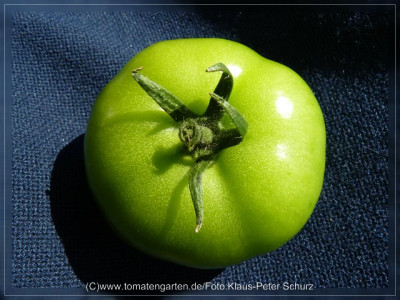 2012_Philona_Fruit_Green4.jpg