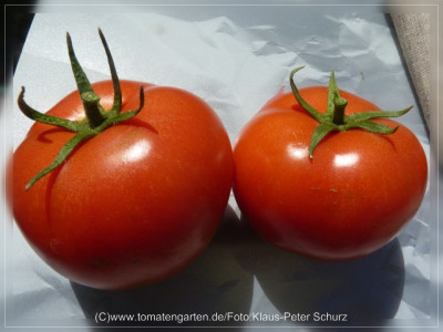 2012_Philona_Fruit2.jpg