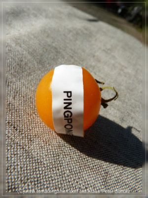 2012_Ping_Pong_Fruit3.jpg