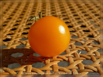 2012_Ping_Pong_Fruit4.jpg