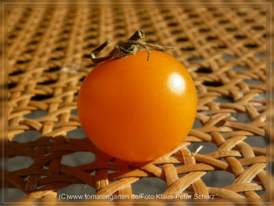 2012_Ping_Pong_Fruit5.jpg