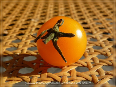 2012_Ping_Pong_Fruit6.jpg