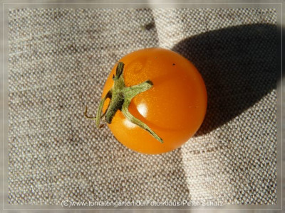 2012_Ping_Pong_Fruit7.jpg