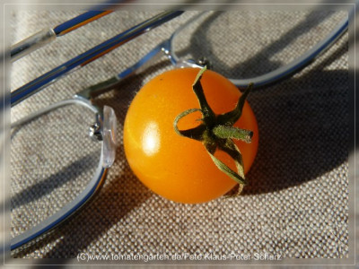 2012_Ping_Pong_Fruit2.jpg