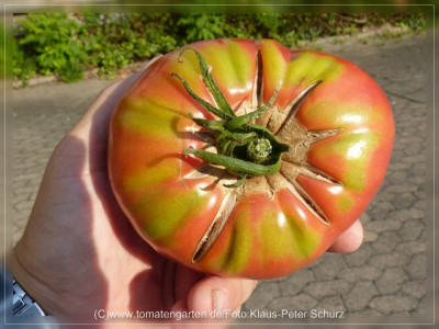2012_Pink_Sweet_Fruit3.jpg