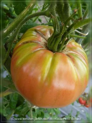 2012_Pink_Sweet_Fruit1.jpg