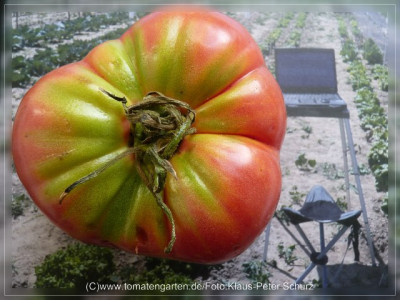 2012_Pink_Sweet_Fruit2.jpg