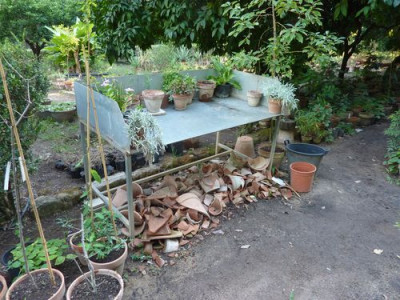 OBP5.jpg